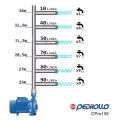 Electrobomba Centrífuga Pedrollo CPm 158 1 HP 220V vista 4