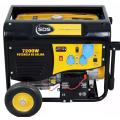 Generador bencinero 10 kVA 220 V SGG9500EH vista 1